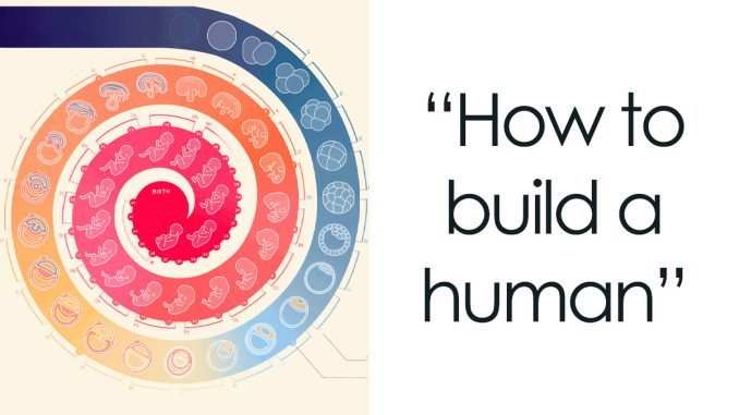40 Times People Summarized Data In Interesting Charts That Might Clear Some Things Up For You
