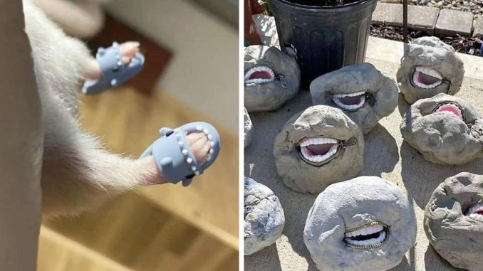 “Take My Money!”: This Page Is Sharing Things People Didn’t Know Existed But Now They Want Them