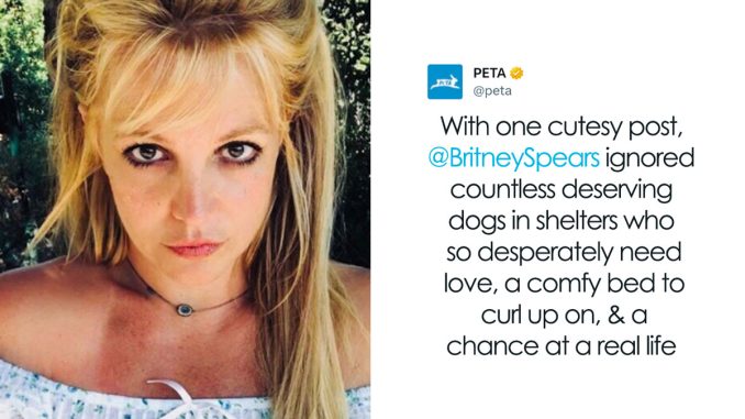PETA Calls Out Britney Spears For Buying A New Puppy Instead Of Adopting One