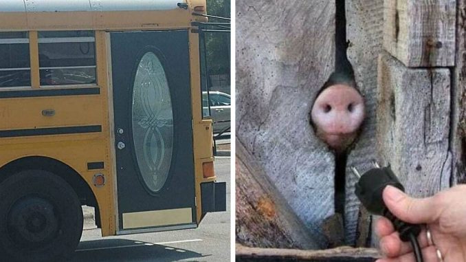 97 Absolutely ‘Blursed’ Photos That Provide No Explanations