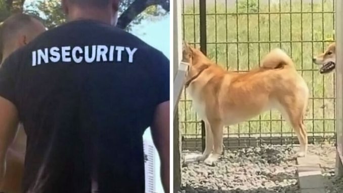 “Blursed”: 54 Images That Are Giving Both “Blessed” And “Cursed” Energy