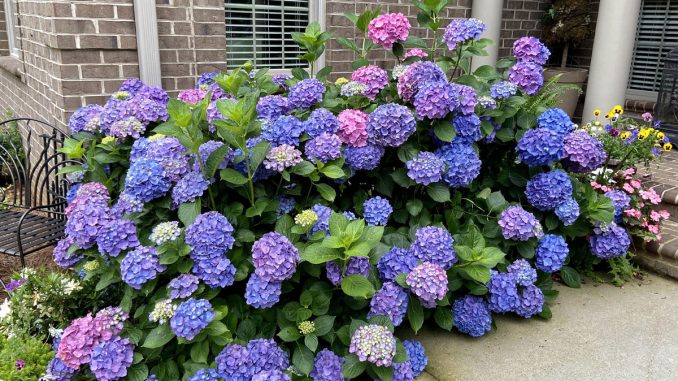 “Bought The Property, Landscaping Included”: Woman Shocked By Ex-Homeowner’s Request 2 Years Later