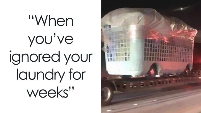 88 Hilariously Spot-On Memes To Make You Snort