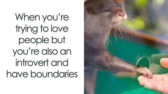 “All About Introvert Dating Struggles”: 66 Of The Funniest Memes