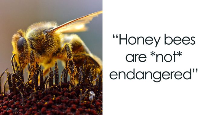 43 Rarely Heard Facts That May Leave Your Craving For Knowledge Sated, Courtesy Of This Page (New Facts)
