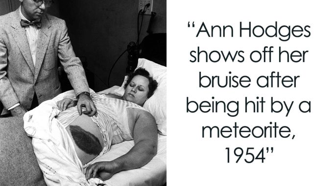 74 Fun Facts And Stories From “All Things Fascinating”
