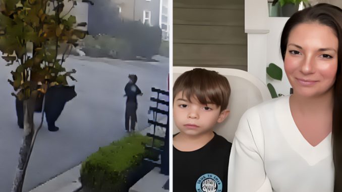 7-Year-Old Fearlessly Faces Off With Black Bear, Neighbor Steps In To Help