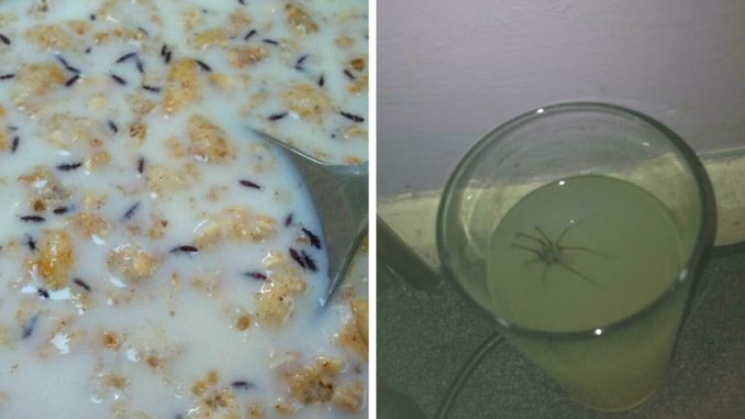 37 Bizarre Food Pictures That Might Make Your Stomach Turn