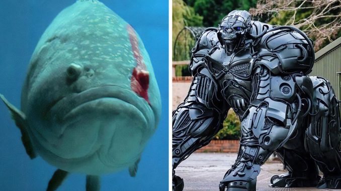 80 Epic Moments When People Spotted Someone Or Something Reach ‘Boss’ Level (New Pics)