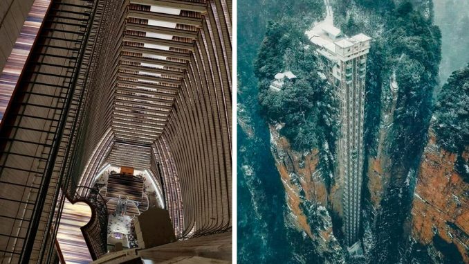 57 Gigantic Things That Are A Big “Nope, I’m Outta Here” For People With Megalophobia (New Pics)