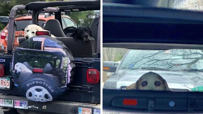 This Page Collects ‘Cursed’ Images, And Here Are 80 Of The Worst Ones