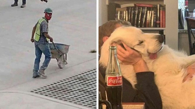 80 Weird Images That Need No Context Whatsoever To Be Hilarious