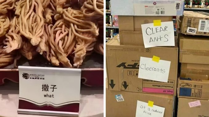 109 Times People Made Such Funny English Mistakes, Others Just Had To Share Them In This Online Group (New Pics)