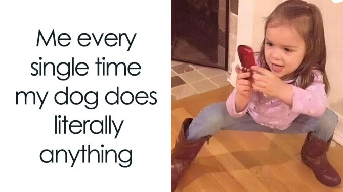 “Laughing At My Own Memes”: 140 Hilarious Memes