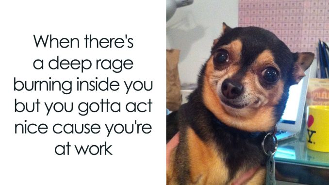 ‘Work Memes For The Soul’: 60 Spot-On Memes About How Work Sucks