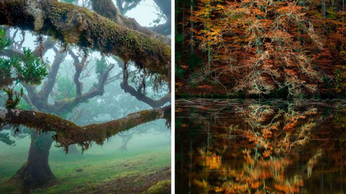 50 Photos Of Mother Earth From This Online Page That Prove Nature Is Lit