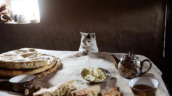 55 Times People Snapped A Photo That Fit The Definition Of ‘Accidental Renaissance’ (New Pics)