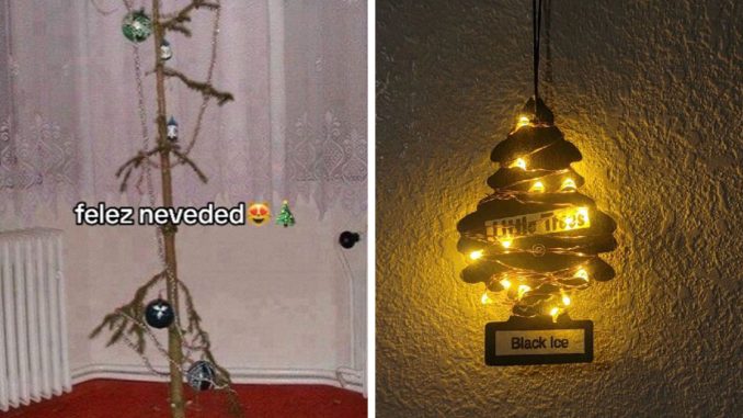 “Felez Neveded”: 53 Times People’s Christmas Decorations Destroyed The Holiday Spirit