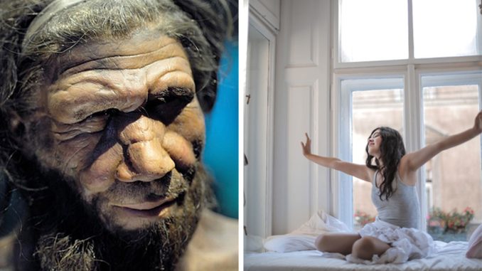 New Research Suggests Early Risers May Share DNA With Neanderthals And Other Extinct Species