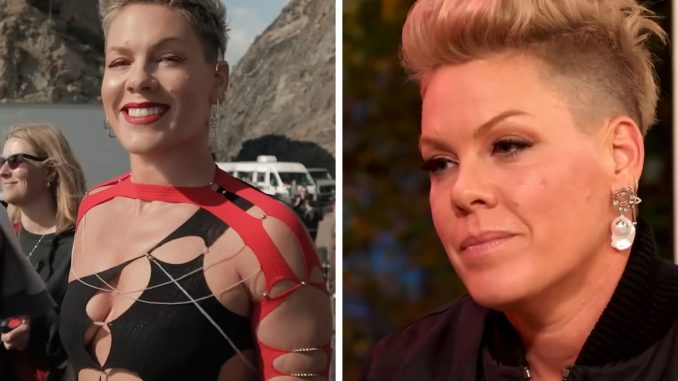“I Still Wear A Leotard To Work”: Pink Slams Troll Calling Her “Old” On Social Media
