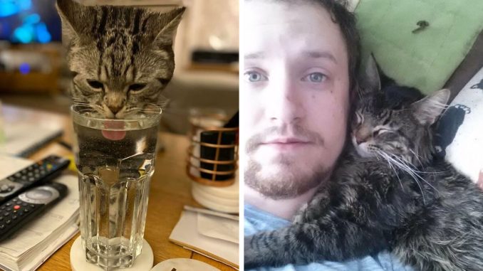 80 Hilariously Unexpected “My House, Not My Cat” Moments (Best-Of-All-Time Edition)