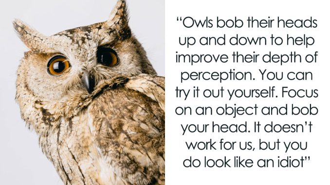 People Share 50 Interesting Animal Facts Not Too Many Of Us Are Familiar With