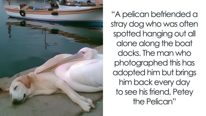 70 Posts That Range From Hilarious To Wholesome, Shared On This Dedicated FB Page