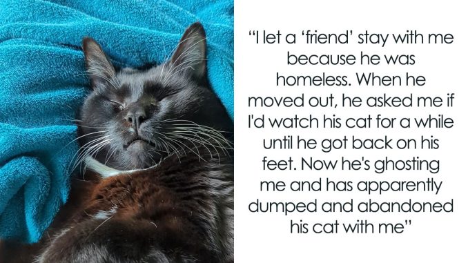 Person Warns Friend They Are Cat-Sitting For That The Pet Is Sick, Gets Ghosted