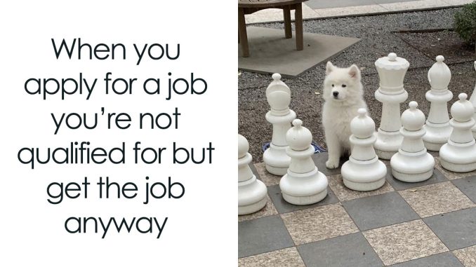 107 Cute And Funny Dog Memes That Might Boost Your Mood If You’re Having A ‘Ruff’ Day