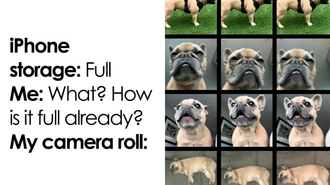 80 Random Memes To Entertain You While You Procrastinate