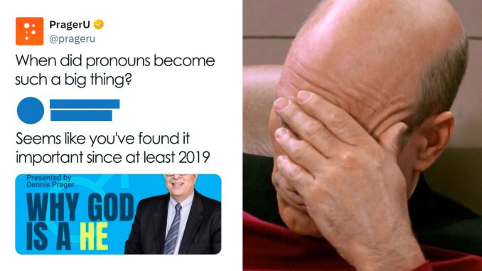 65 Times People Online Got Roasted With “This You?” Comebacks (New Pics)