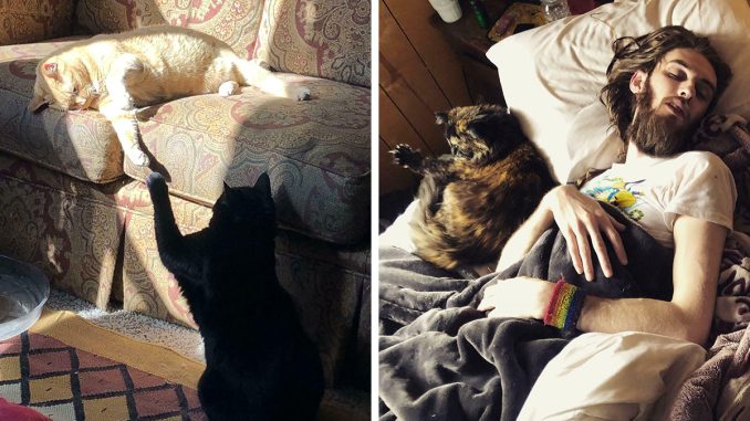 84 Moments Captured By People Where The Photos Evoke “Accidental Renaissance” (New Pics)