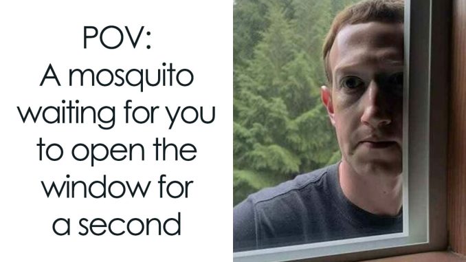 114 Funny Random Memes About Everything And Anything