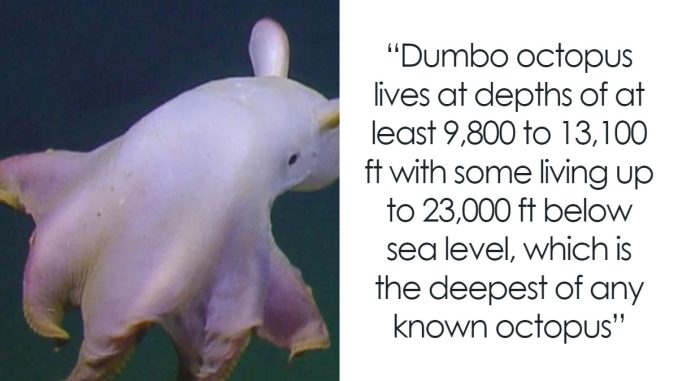 50 True Interesting Facts About Random Things, Shared By This Facebook Page