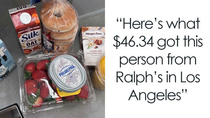 80 People Show How Much Groceries Cost Where They Live (New Pics)