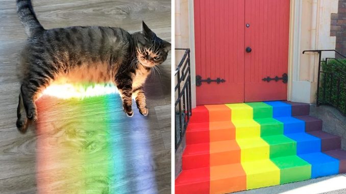 123 Of The Best Pics From The “Rainbow Everything” Online Group To Bring Color To Your Day