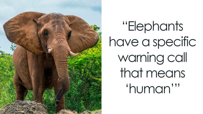 67 Fascinating Wildlife Facts That May Surprise You