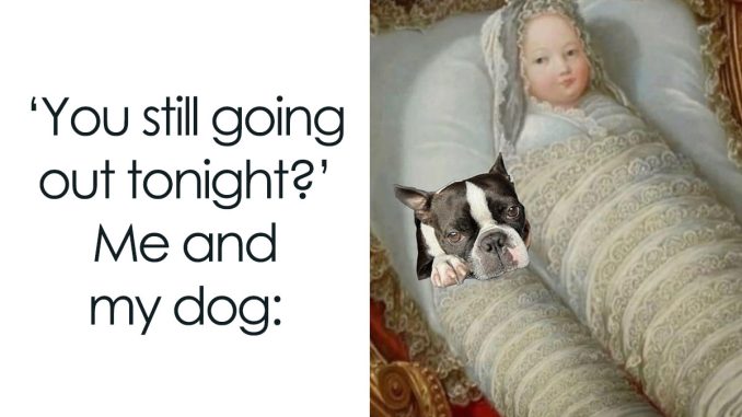 73 Memes About Mostly Everything That You May Find Painfully Relatable