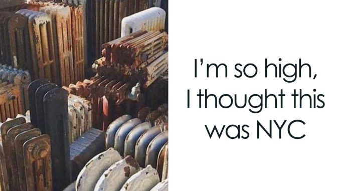 50 Random Memes That Have No Business Being So Funny