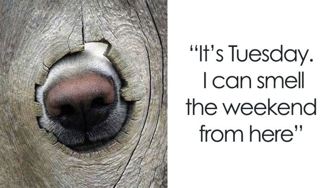 40 Thursday Memes To Get You Excited For The Weekend