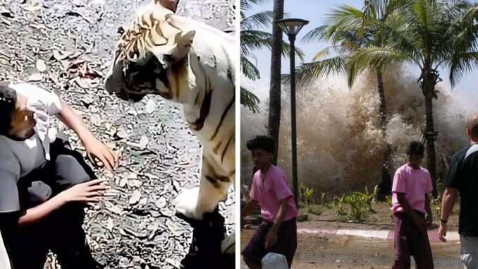 55 Terrifying Pictures To Give You The Creeps