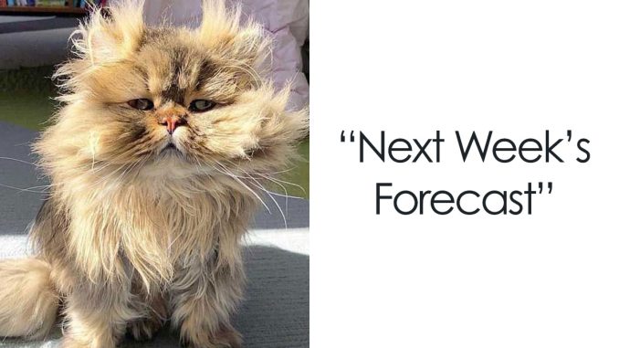 30 Sunday Memes For When You’re Not Ready To Face Monday