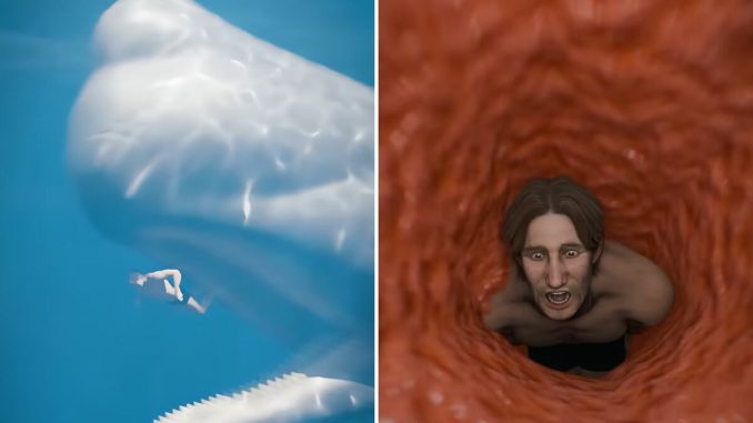 Terrifying Simulation Reveals What Happens To The Human Body If Swallowed By A Whale
