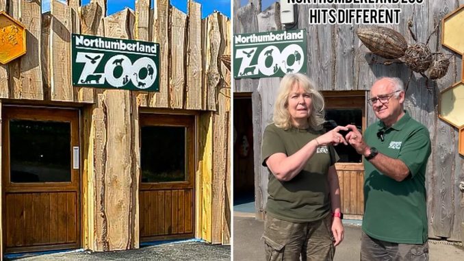 “Marketing Genius”: Boomer Couple’s “Gen Z Style” Tour Of Zoo Goes Viral
