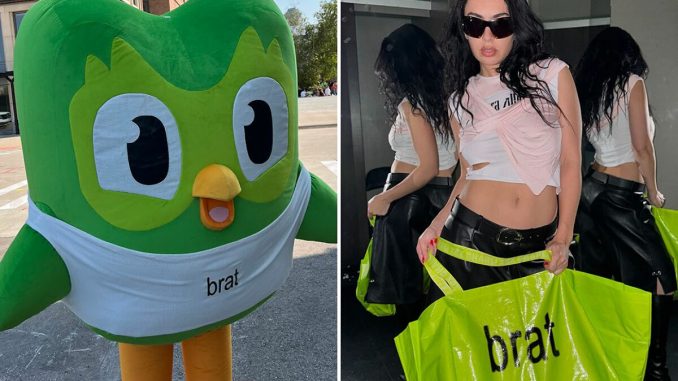 “Marketing Team Deserves A Raise”: Duolingo Owls Attend Charli XCX And Troye Sivan’s Sweat Tour