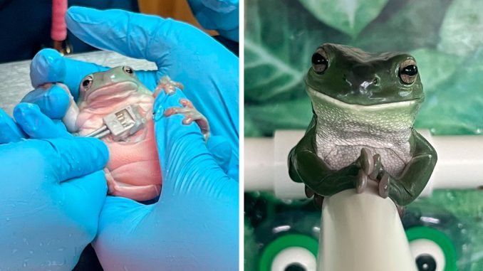 80 Cute And Funny Photos That May Show You A Different Side To These Critters (New Pics)