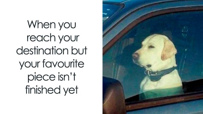 127 Funny Memes Classical Musicians Might Appreciate