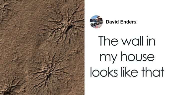 ‘Spiders On Mars’ Recreated On Earth For The First Time—Researchers Are Thrilled With Excitement