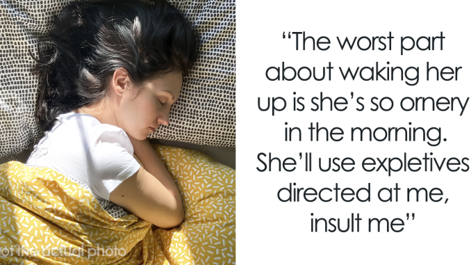 BF Gets Fed Up With GF Being A Horrible Morning Person, Gets Her Fired After Not Waking Her Up