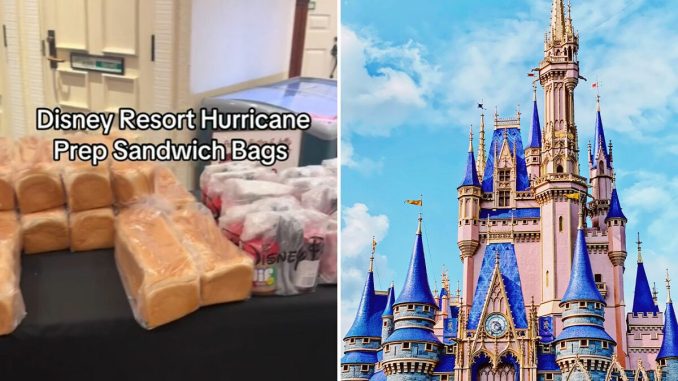 Disney Slammed After Charging $10 For Sandwich Kits To Stranded Guests During Hurricane Milton
